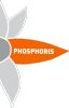 PHOSPHORIS
